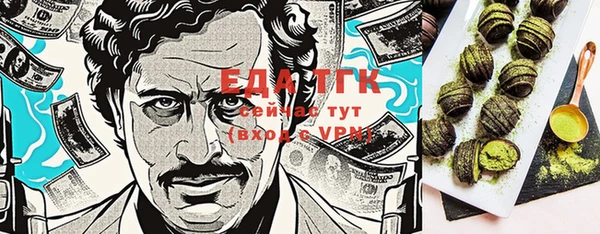 стаф Медногорск