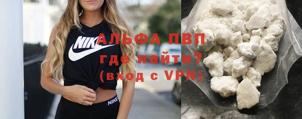 стаф Медногорск