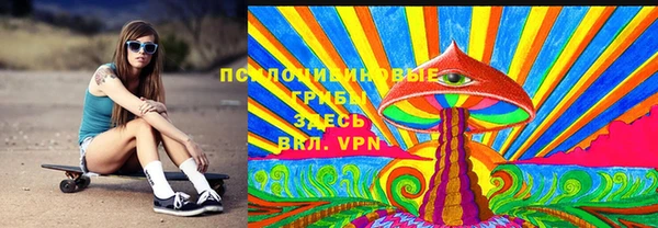 прущие грибы Медвежьегорск