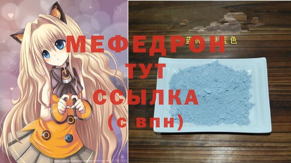 прущие грибы Медвежьегорск